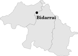 bidarrai.png